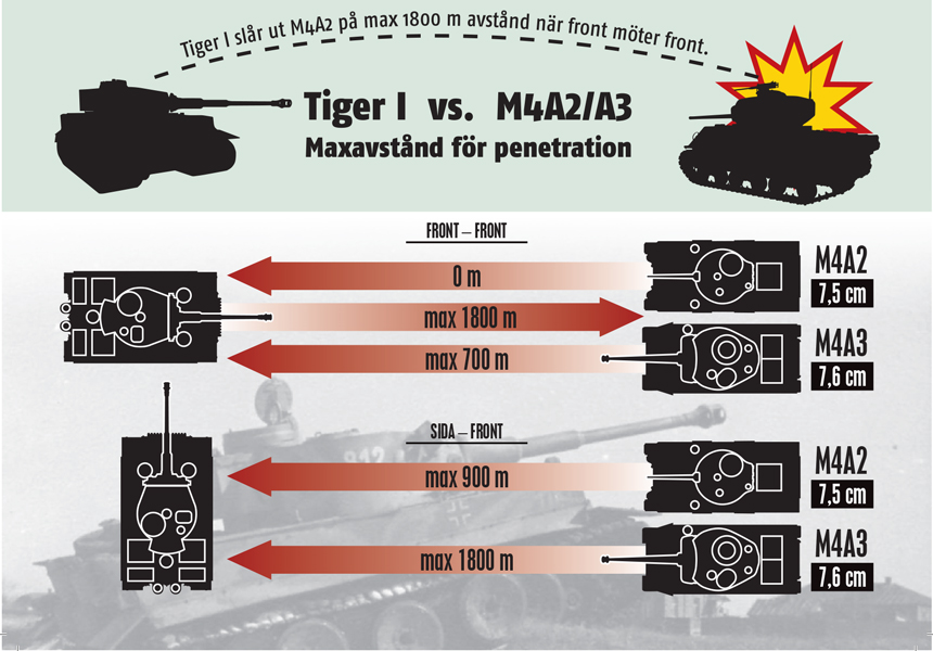tiger.jpg